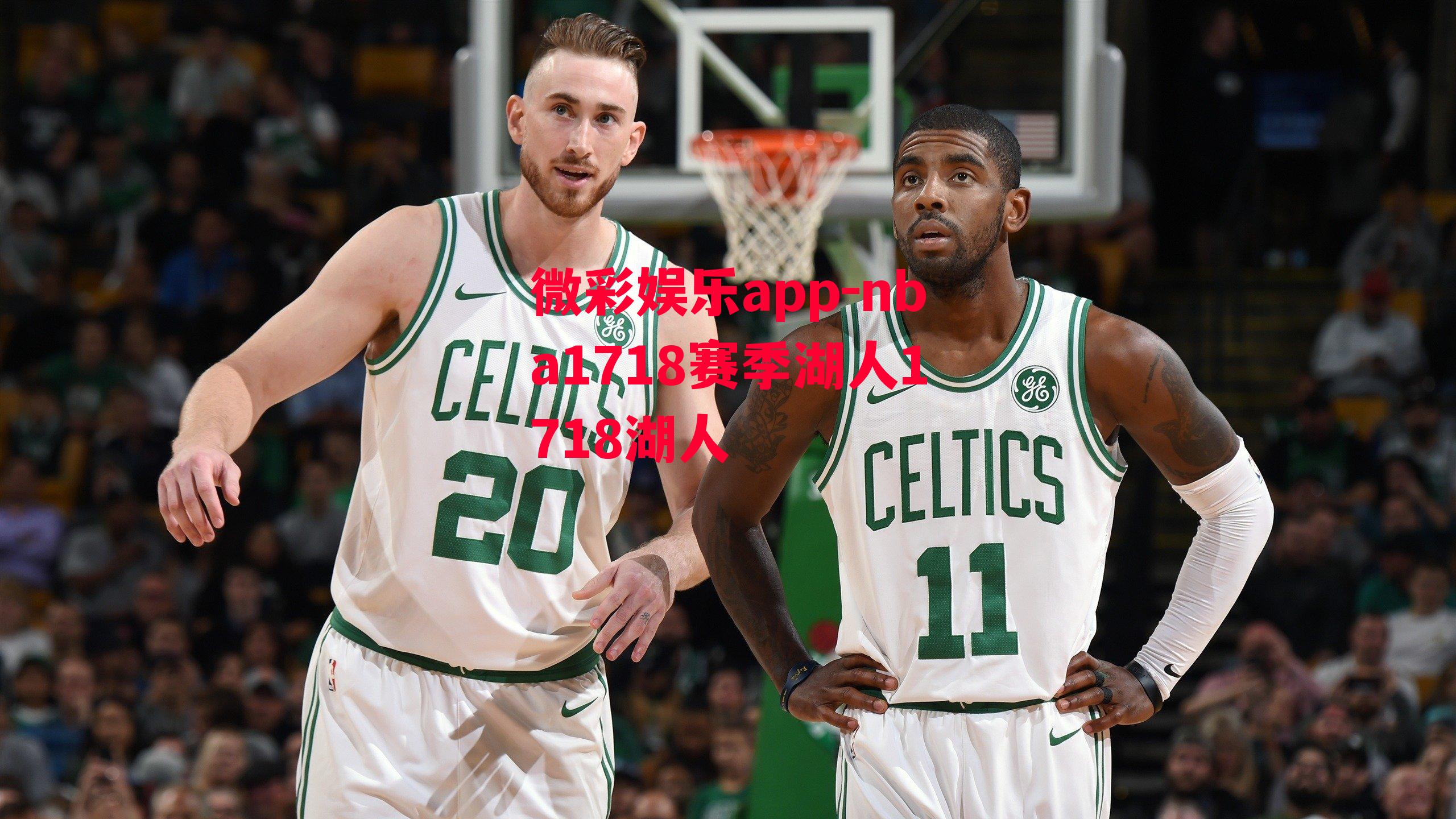 nba1718赛季湖人1718湖人